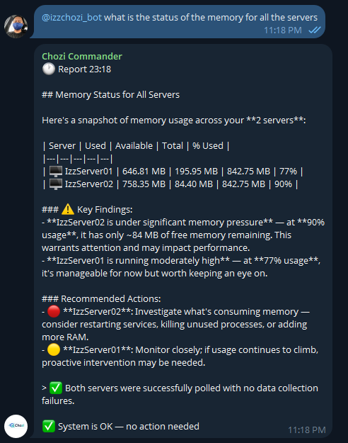 AI Assistant Agent showing memory usage across servers