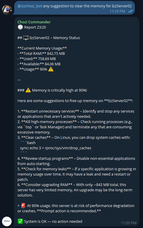 AI Assistant Agent providing memory management recommendations
